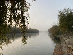 Photo n°5