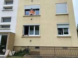 Photo n°6