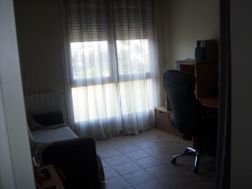 Photo n°5