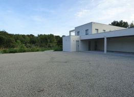 Photo n°5