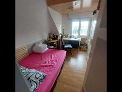 Photo n°1