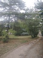 Photo n°2