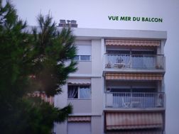 Photo n°8
