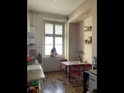 Photo n°6
