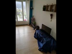 Photo n°6