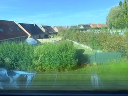 Photo n°4