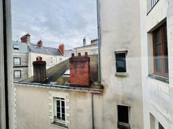 Photo n°5