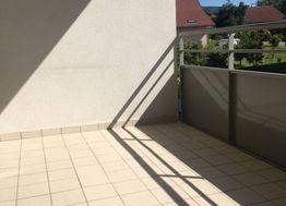 Photo n°7