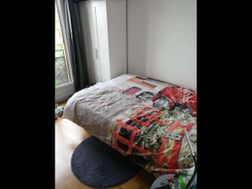 Photo n°1