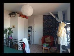 Photo n°6