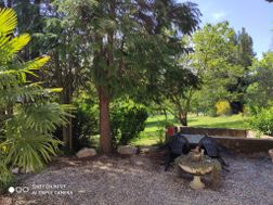 Photo n°4