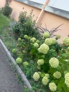Photo n°9