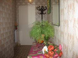 Photo n°2