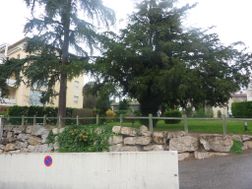 Photo n°5