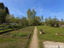 Photo n°9