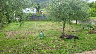 Photo n°3