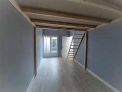 Photo n°6