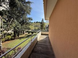 Photo n°4