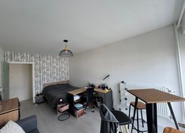 Photo n°3