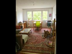 Photo n°1