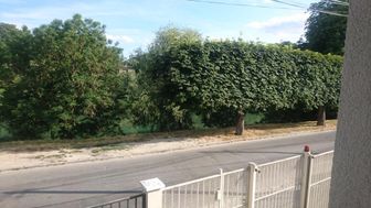 Photo n°2