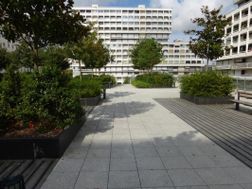 Photo n°1