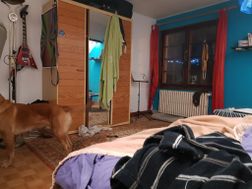 Photo n°6