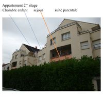 Photo n°8
