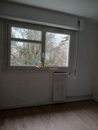 Photo n°4