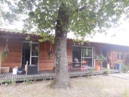 Photo n°4