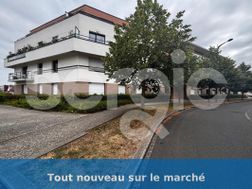 Photo n°8