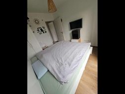 Photo n°5