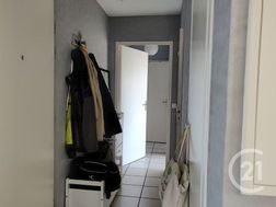 Photo n°6