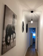 Photo n°8