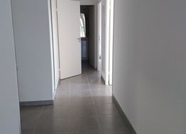 Photo n°6