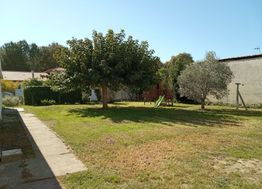 Photo n°3