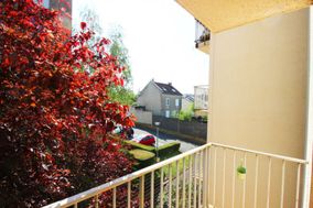 Photo n°6