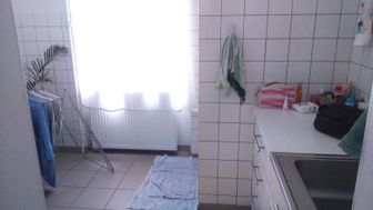 Photo n°5