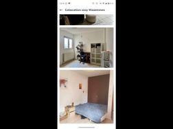 Photo n°1