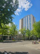Photo n°1