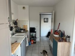 Photo n°6