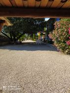 Photo n°1