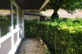 Photo n°4