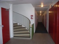 Photo n°4