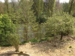 Photo n°1