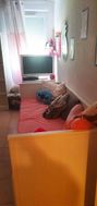Photo n°4