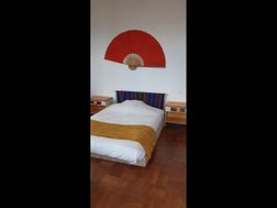Photo n°14