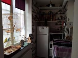 Photo n°3