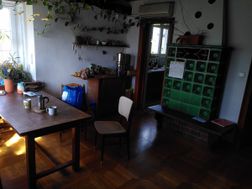 Photo n°6