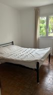 Photo n°4